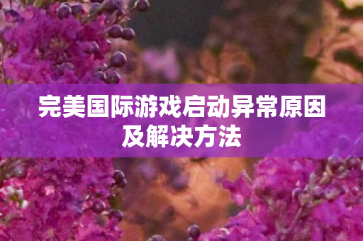 完美国际游戏启动异常原因及解决方法图片
