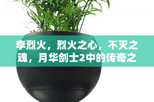 月华剑士2中的传奇之战图片