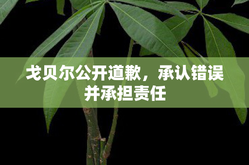 承认错误并承担责任图片