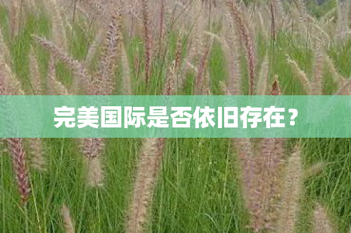 完美国际是否依旧存在图片