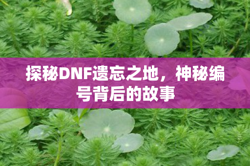 探秘DNF遗忘之地图片
