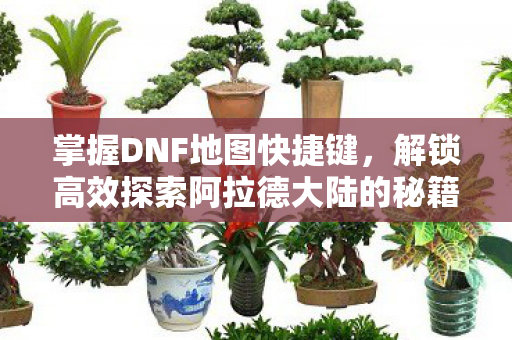解锁高效探索阿拉德大陆的秘籍图片
