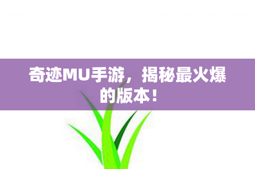 揭秘最火爆的版本图片