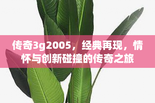 情怀与创新碰撞的传奇之旅图片