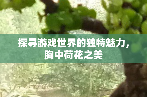 探寻游戏世界的独特魅力，胸中荷花之美