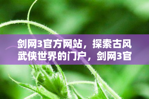 探索古风武侠世界的门户图片