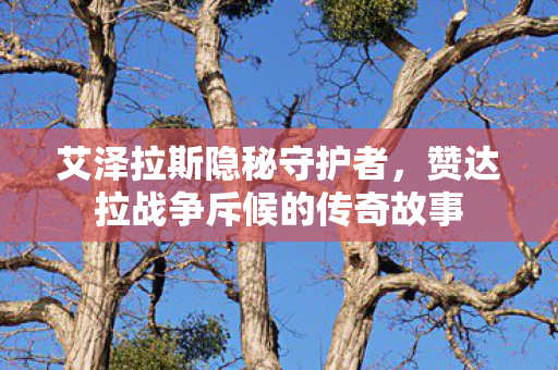 艾泽拉斯隐秘守护者，赞达拉战争斥候的传奇故事