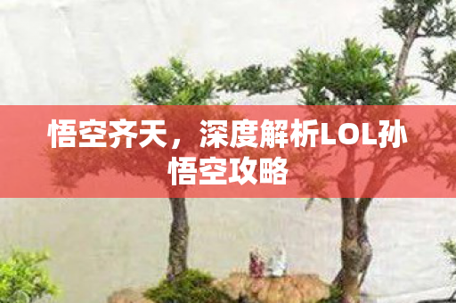 深度解析LOL孙悟空攻略图片