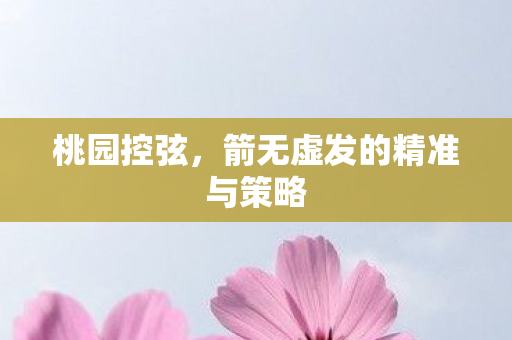 箭无虚发的精准与策略图片