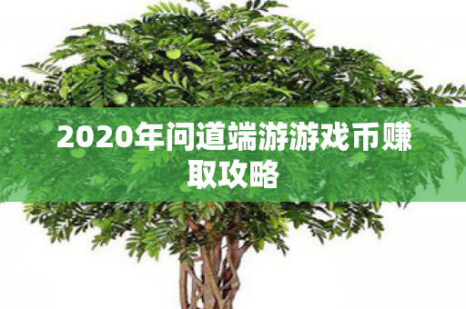 2020年问道端游游戏币赚取攻略图片