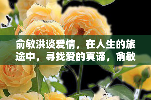 在人生旅途中寻找爱的真谛图片