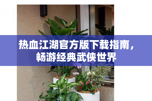 热血江湖官方版下载指南,畅游经典武侠世界 热血江湖官方版下载指南,畅游经典武侠世界