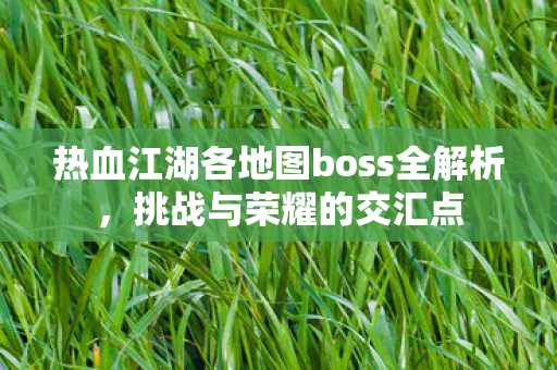 热血江湖各地图boss全解析,挑战与荣耀的交汇点 热血江湖各地图boss全解析,挑战与荣耀的交汇点