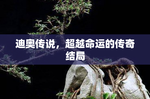 超越命运的传奇结局图片