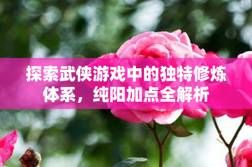 探索武侠游戏中的独特修炼体系图片