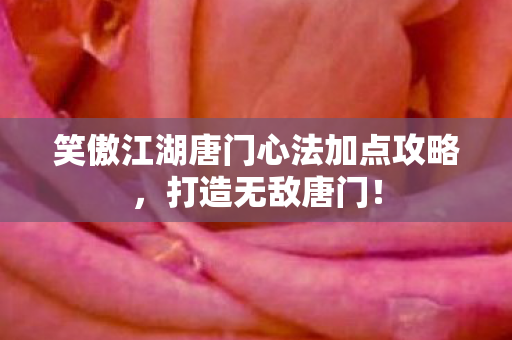 笑傲江湖唐门心法加点攻略图片