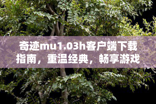 03h客户端下载指南图片