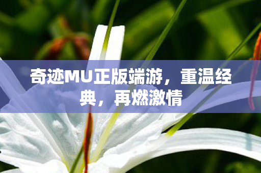奇迹MU正版端游图片