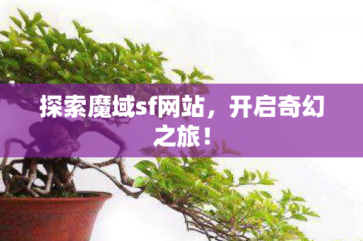 探索魔域sf网站图片