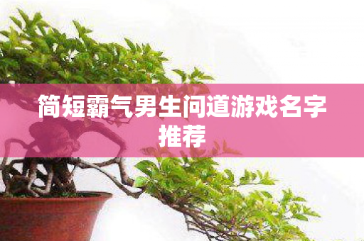 简短霸气男生问道游戏名字推荐图片