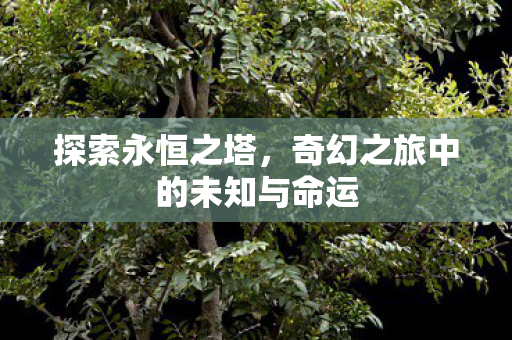探索永恒之塔,奇幻之旅中的未知与命运 探索永恒之塔,奇幻之旅中的未知与命运
