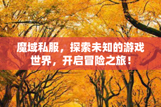 探索未知的游戏世界图片