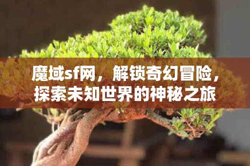 探索未知世界的神秘之旅图片