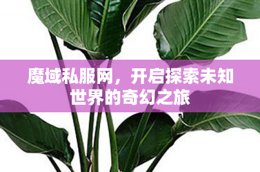 开启探索未知世界的奇幻之旅图片