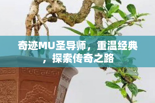 奇迹MU圣导师图片