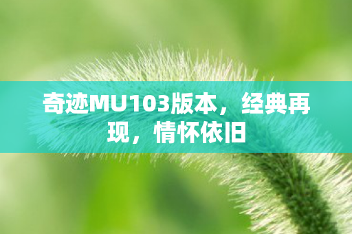 奇迹MU103版本图片