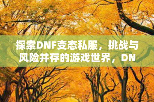 探索DNF变态私服,挑战与风险并存的游戏世界,DNF变态私服,挑战与风险并存的游戏世界 探索DNF变态私服,挑战与风险并存的游戏世界,DNF变态私服,挑战与风险并存的游戏世界