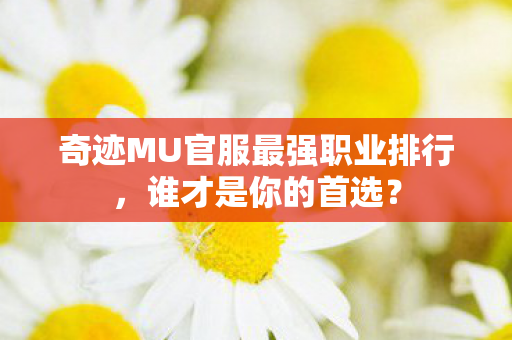 奇迹MU官服最强职业排行图片