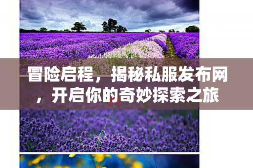 开启你的奇妙探索之旅图片