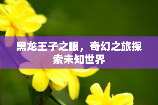 奇幻之旅探索未知世界图片