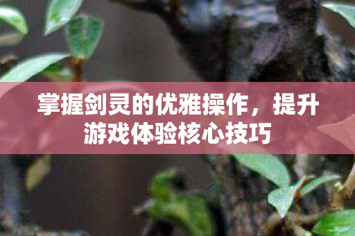 提升游戏体验核心技巧图片