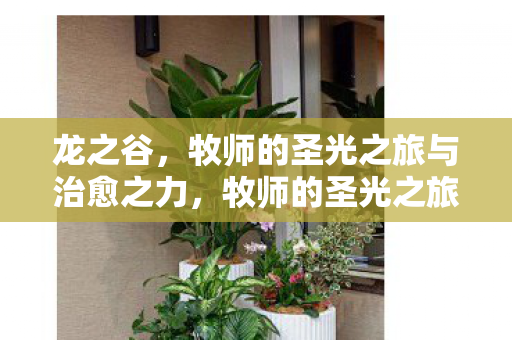 牧师的圣光之旅与治愈之力图片
