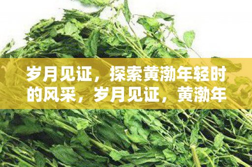 探索黄渤年轻时的风采图片