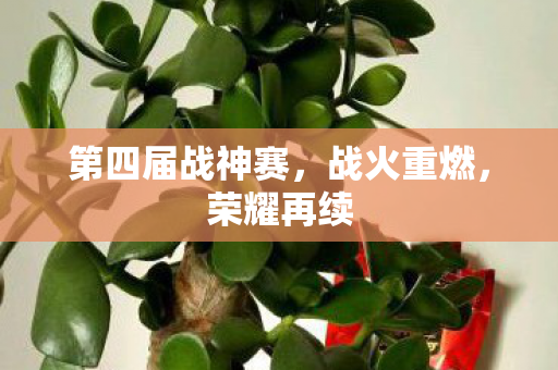 第四届战神赛图片