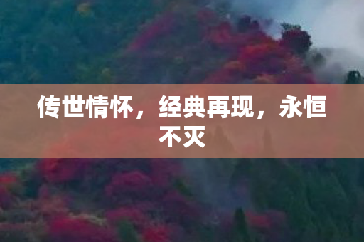 传世情怀图片