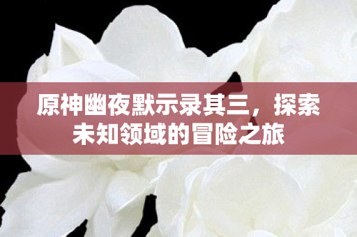探索未知领域的冒险之旅图片