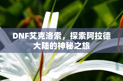 探索阿拉德大陆的神秘之旅图片