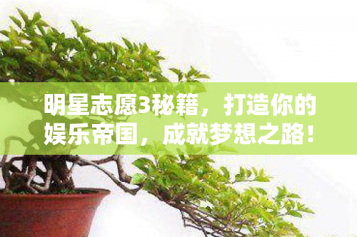 明星志愿3秘籍，打造你的娱乐帝国，成就梦想之路！