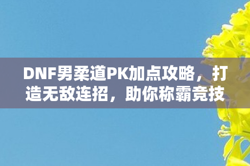 DNF男柔道PK加点攻略，打造无敌连招，助你称霸竞技场
