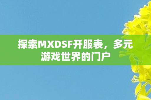 探索MXDSF开服表图片