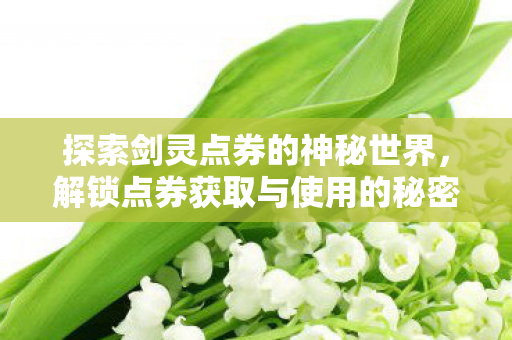解锁点券获取与使用的秘密图片