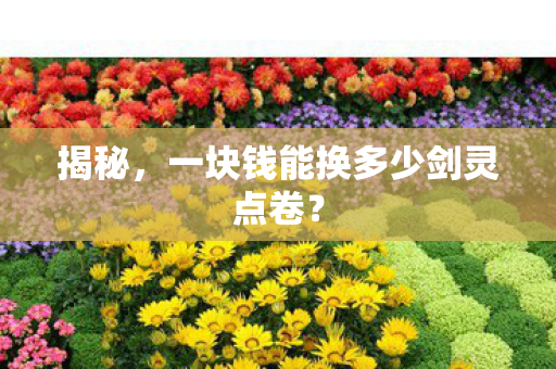 一块钱能换多少剑灵点卷图片