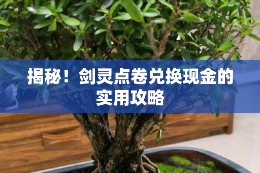 剑灵点卷兑换现金的实用攻略图片