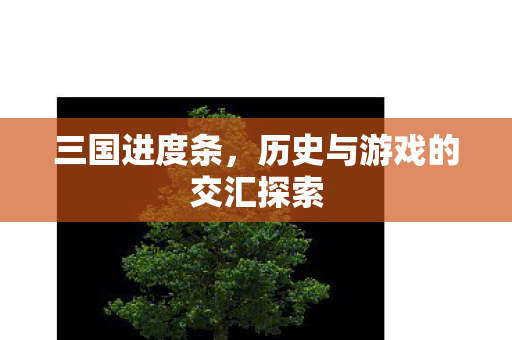 历史与游戏的交汇探索图片