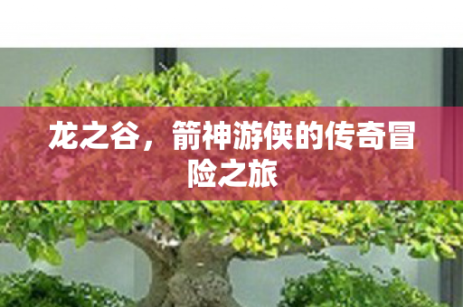箭神游侠的传奇冒险之旅图片