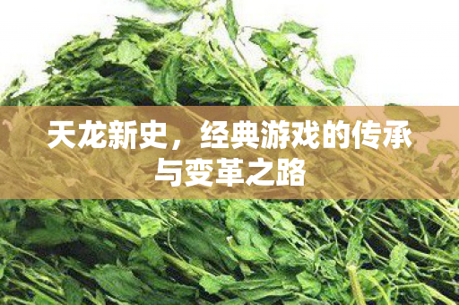 经典游戏的传承与变革之路图片